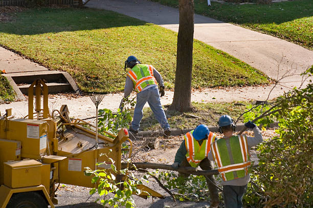 Best Storm Damage Tree Cleanup  in Lancaster, WI